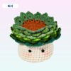 crochet plant coasters