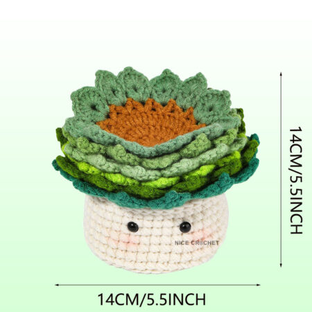 crochet plant coasters