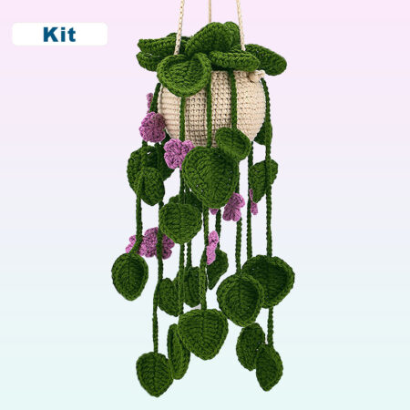 boho crochet plant hanger